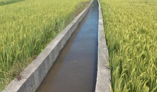 20230109155545012890.png image.png